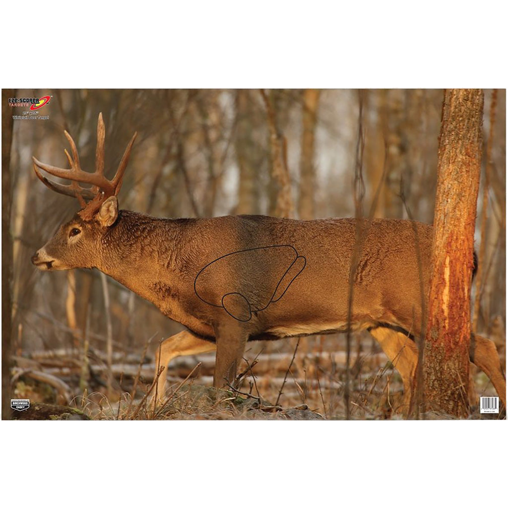Birchwood Casey Birchwood Casey Eze-scorer Whitetail Target 23x35 In. 2 pk. - Archery & Outdoor Gear - DropShot Archery
