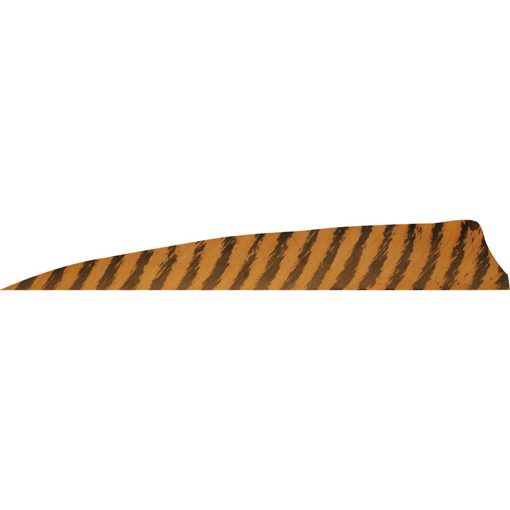 Gateway Gateway Shield Cut Feathers Barred Brown 4 In. Lw 50 pk. - Outdoor Gear - DropShot Archery
