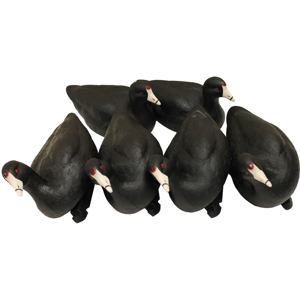 Mojo Outdoors MOJO Coot Confidence Decoys - Decoys - DropShot Archery