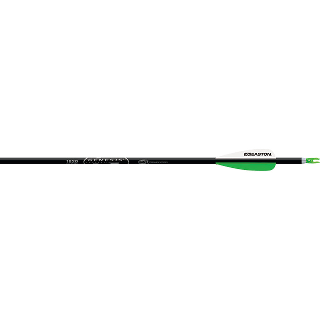 Easton Genesis Arrows 3 in. Vanes Silver 36 pk.