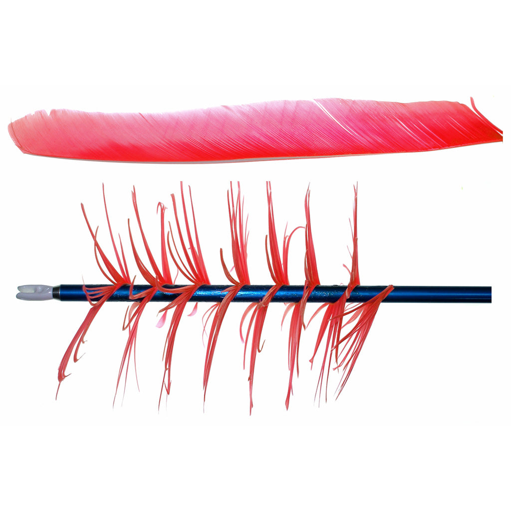 Trueflight Trueflight Spiral Wrap Flu-Flu Feathers Red RW 100 pk. - Imported Draft - DropShot Archery