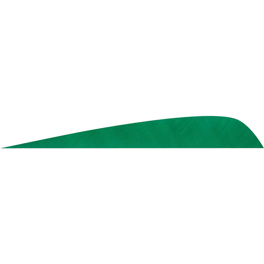 Gateway Gateway Parabolic Feathers Green 4 In. Rw 50 pk. - Outdoor Gear - DropShot Archery