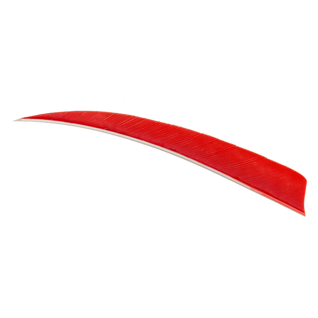 Trueflight Trueflight Shield Cut Feathers Red 4 In. Rw 100 pk. - Outdoor Gear - DropShot Archery