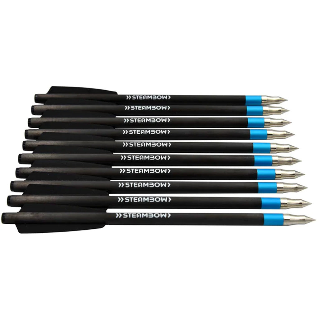 Steambow Steambow Light Target Arrows 10 pk. - Arrows & Bolts - DropShot Archery