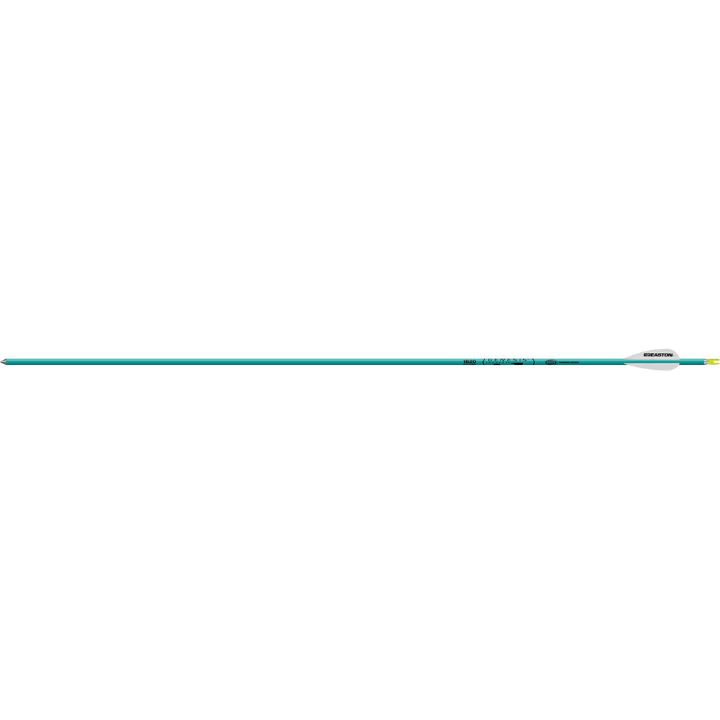 Easton Easton Genesis Arrows 3 In. Vane Teal 36 pk. - Arrows & Bolts - DropShot Archery