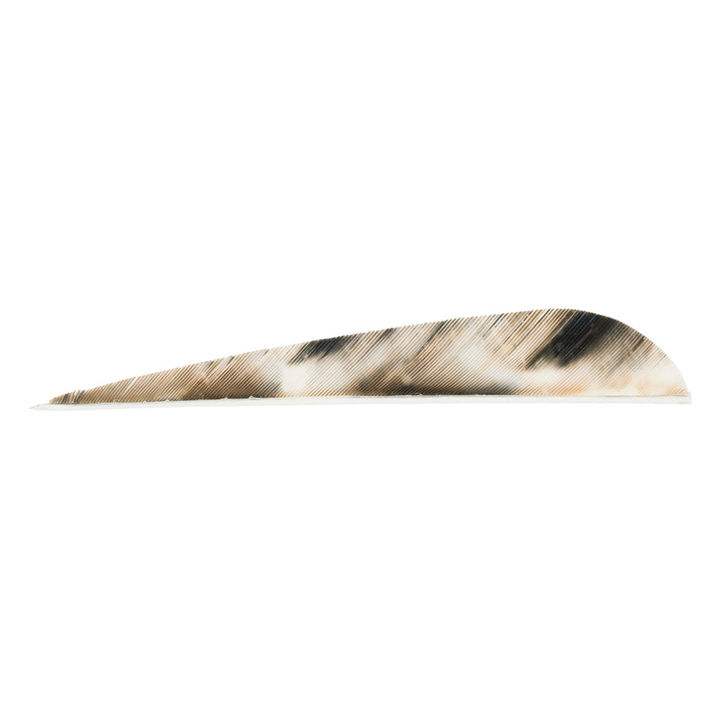 Gateway Gateway Tre-bark Feathers Tre-bark 4 In. Rw 100 pk. - Outdoor Gear - DropShot Archery