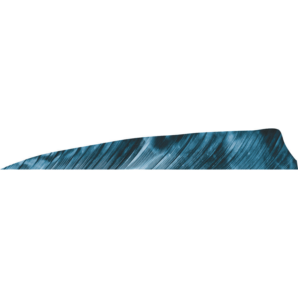 Gateway Shield Cut Feathers Tre Blue 4 In. Rw 50 pk.