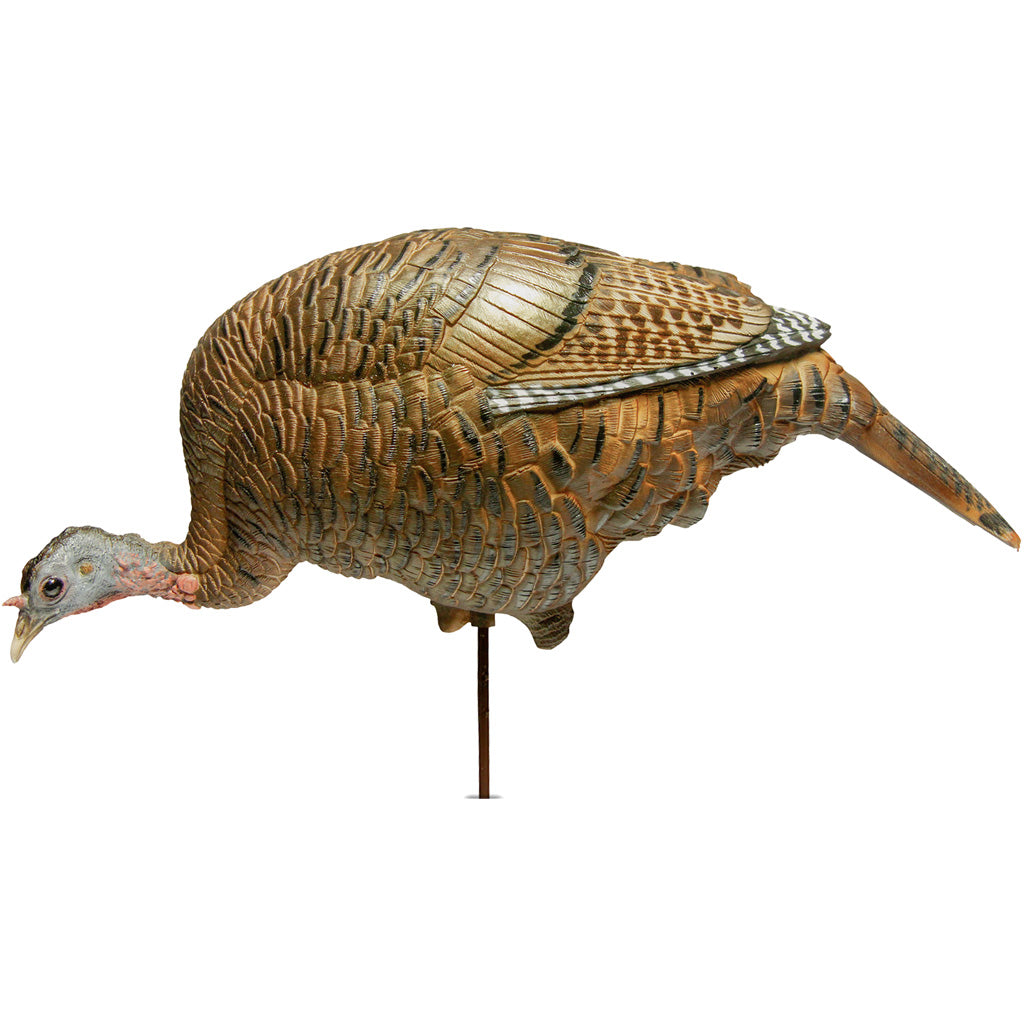 Dave Smith Decoys Dave Smith Decoys Feeding Hen Decoy - Decoys - DropShot Archery