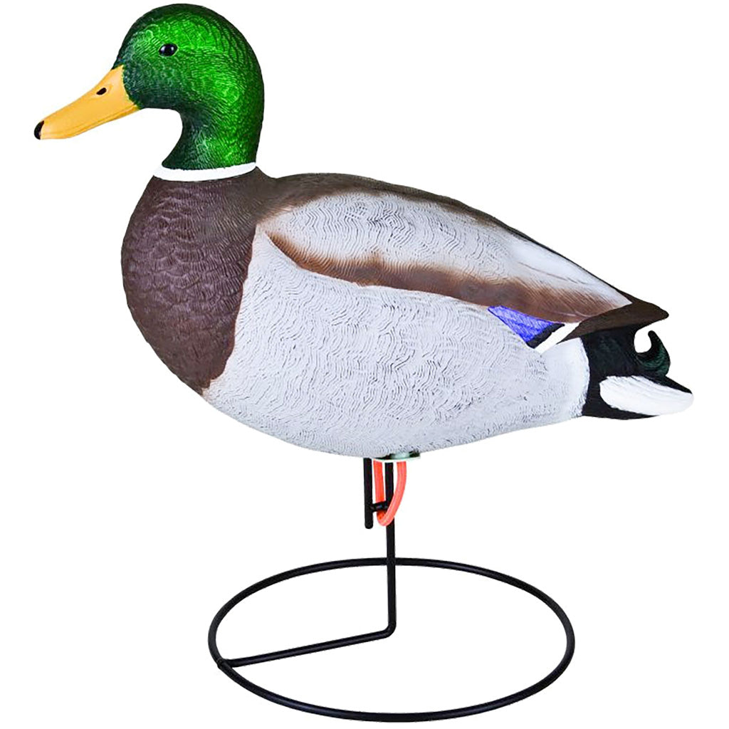 Flambeau Flambeau Field Mallard Decoy 6 pk. - Decoys - DropShot Archery