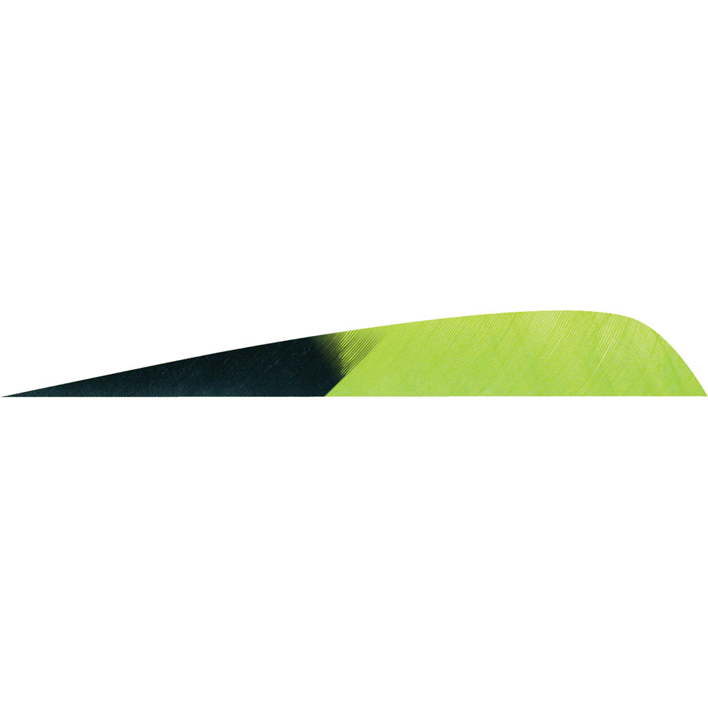 Gateway Parabolic Feathers Kuro Charteuse 4 In. Lw 50 pk.