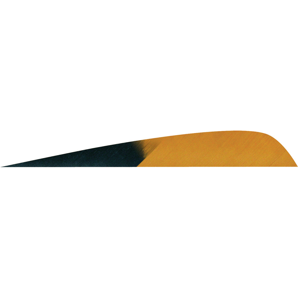 Gateway Gateway Parabolic Feathers Kuro Brown 4 In. Lw 50 pk. - Outdoor Gear - DropShot Archery