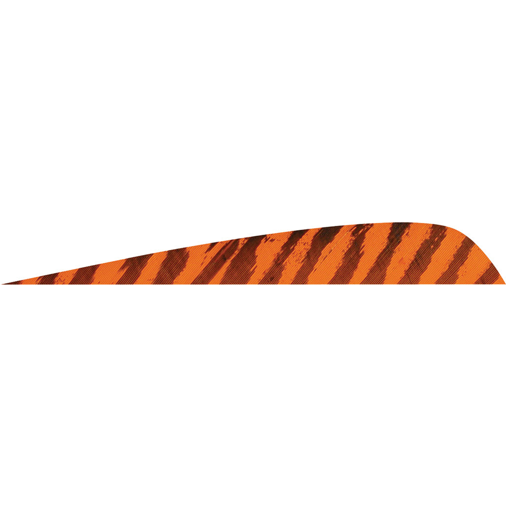 Gateway Gateway Parabolic Feathers Barred Orange 4 In. Rw 50 pk. - Outdoor Gear - DropShot Archery