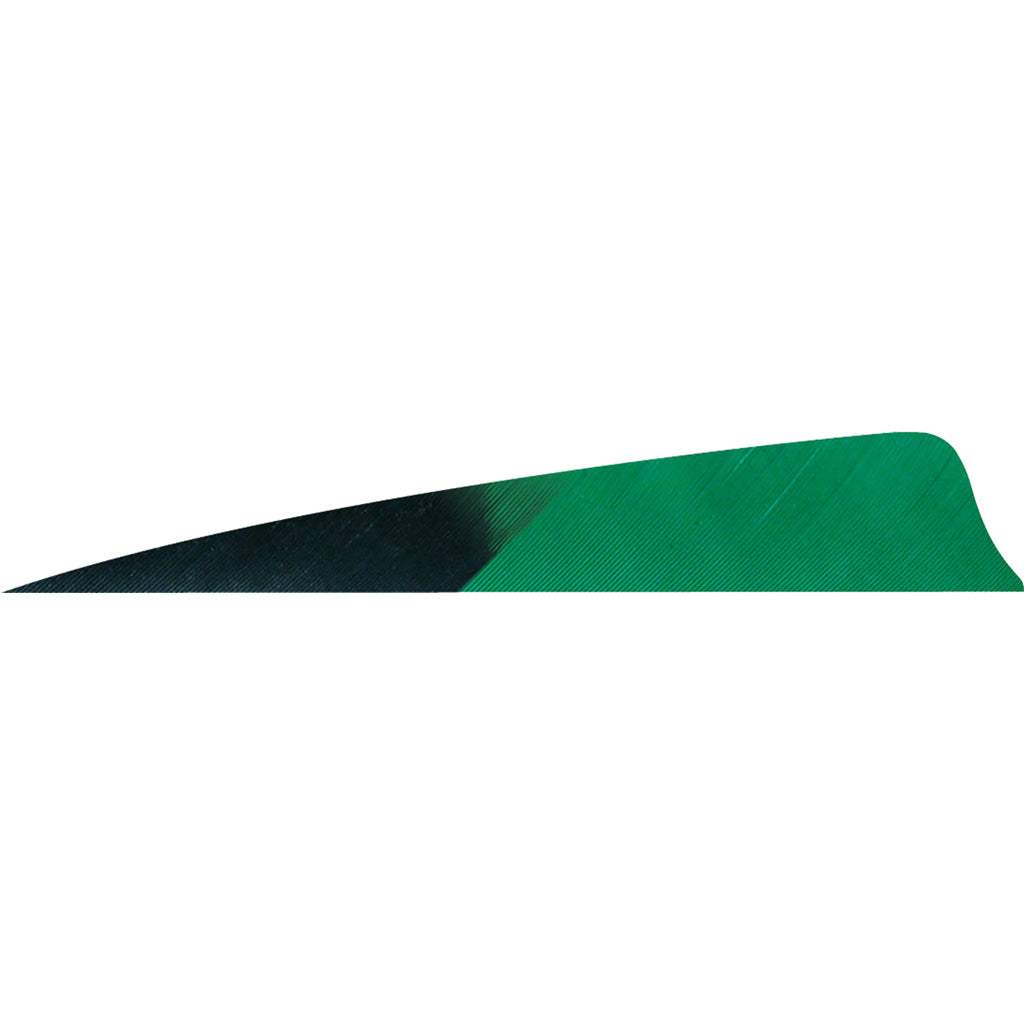Gateway Shield Cut Feathers Kuru Green 4 In. Rw 50 pk.