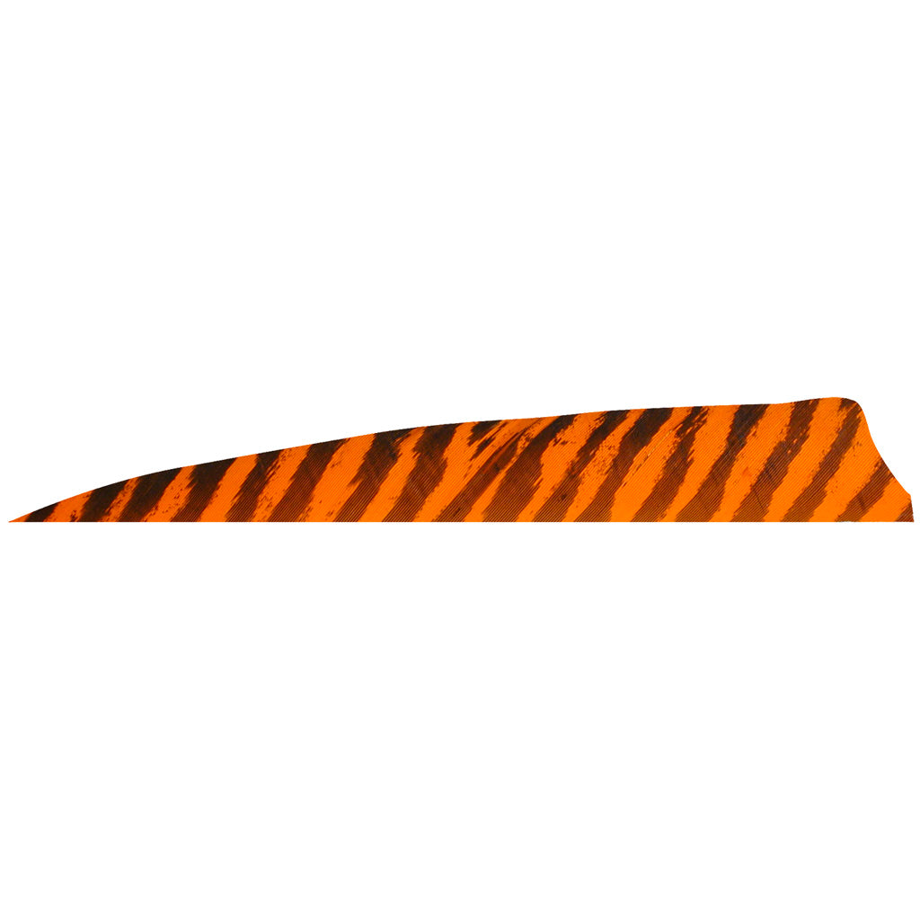 Gateway Gateway Shield Cut Feathers Barred Orange 4 In. Rw 100 pk. - Outdoor Gear - DropShot Archery