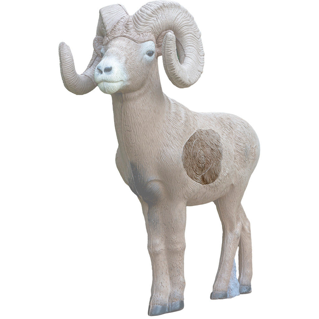 ½ Scale Signature Bighorn Sheep Insert