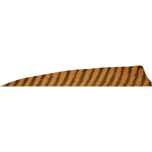 Gateway Shield Cut Feathers Barred Brown 4 In. Lw 50 pk.