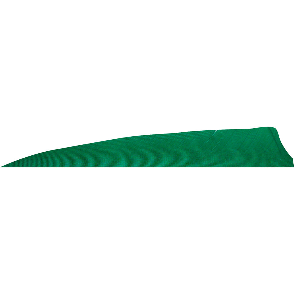 Gateway Gateway Shield Cut Feathers Green 4 In. Lw 50 pk. - Outdoor Gear - DropShot Archery