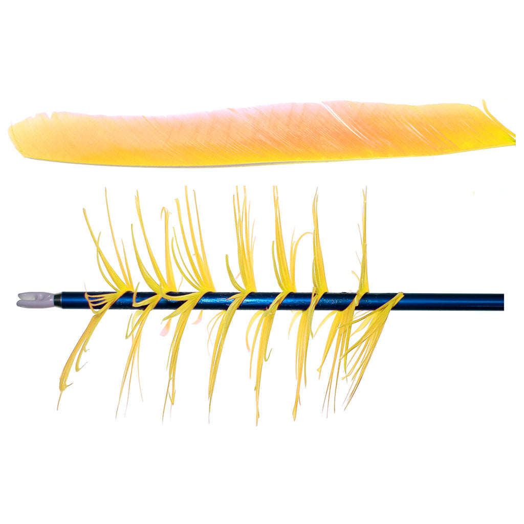 Trueflight Trueflight Spiral Wrap Flu-Flu Feathers Yellow RW 100 pk. - Imported Draft - DropShot Archery