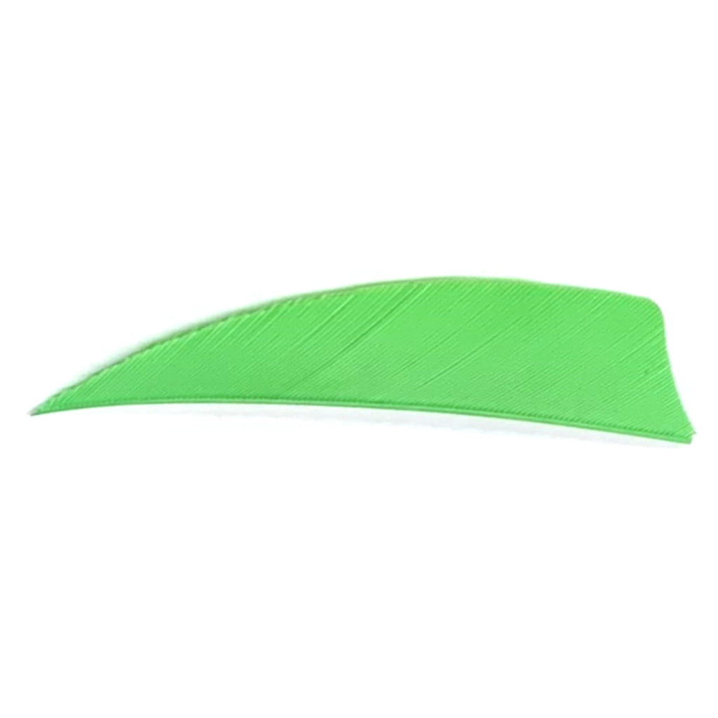 Trueflight Trueflight Shield Cut Feathers Chartreuse 3 in. RW 100 pk. - Imported Draft - DropShot Archery
