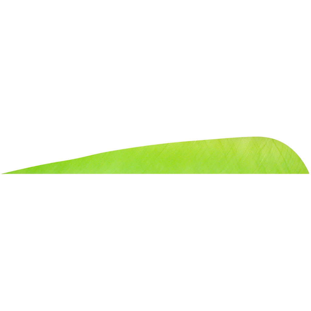Gateway Gateway Parabolic Feathers Chartreuse 4 in. RW 12 pk. - Imported Draft - DropShot Archery
