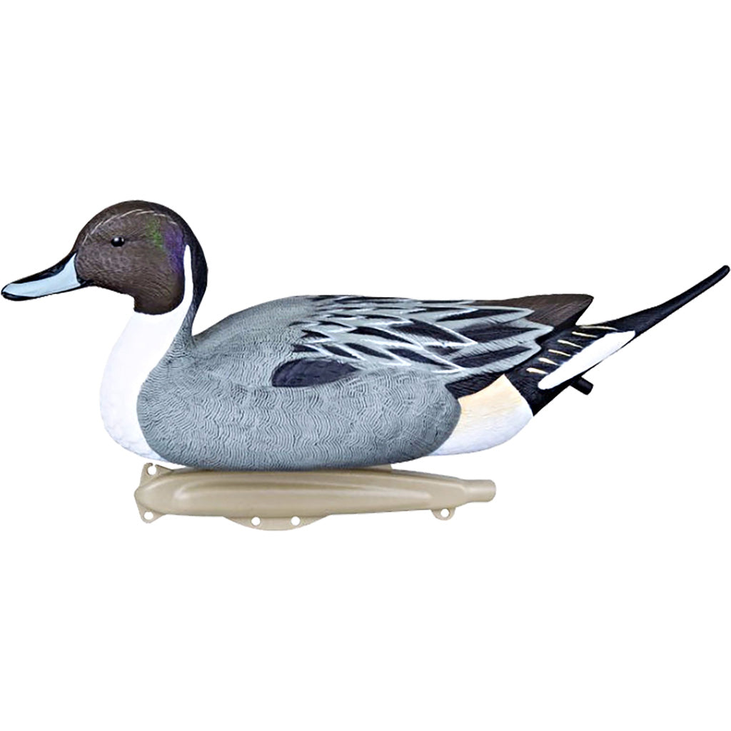 Flambeau Flambeau Classic Pintail Decoy 6 pk. - Decoys - DropShot Archery