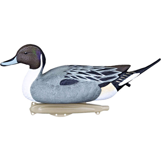 Flambeau Flambeau Classic Pintail Decoy 6 pk. - Decoys - DropShot Archery