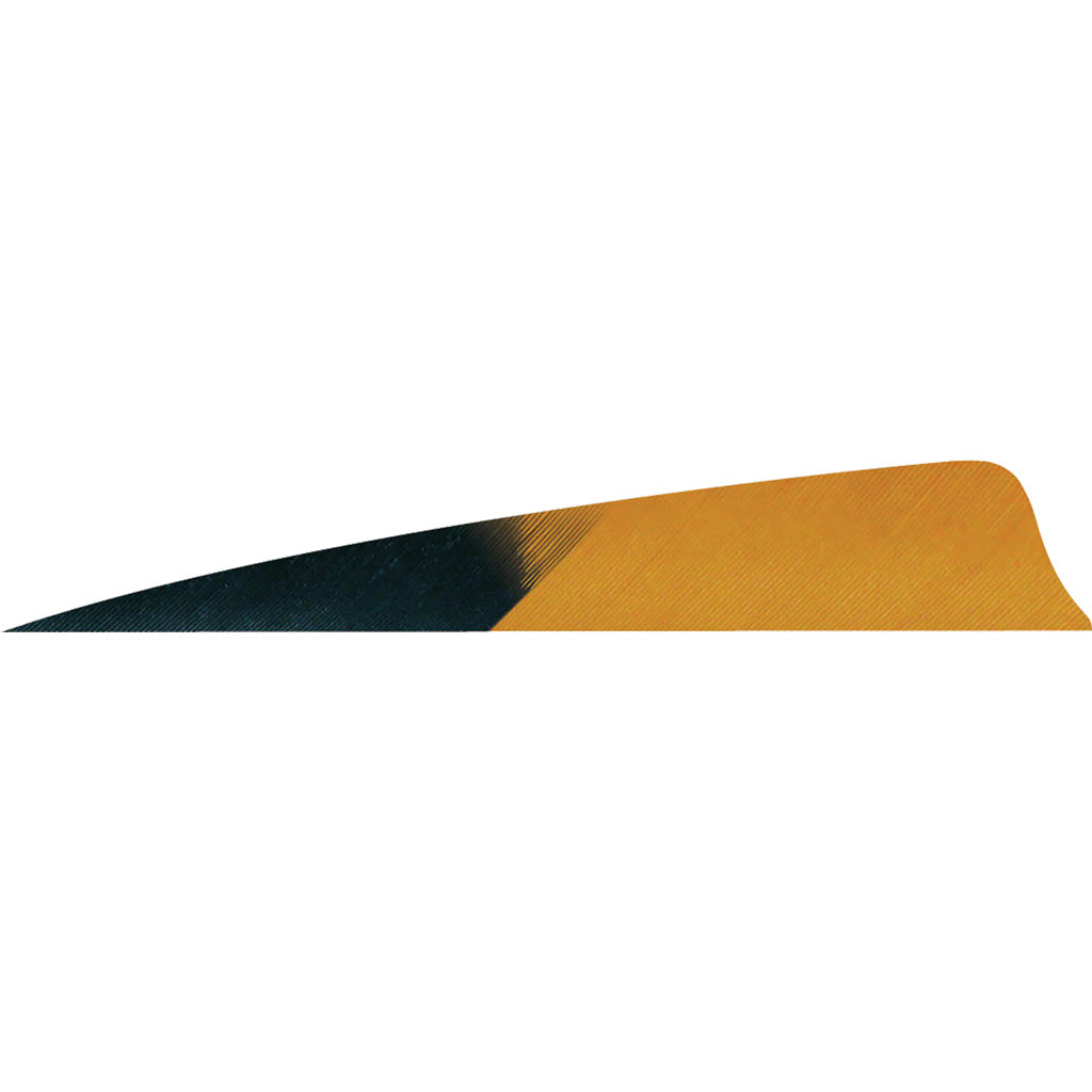 Gateway Gateway Shield Cut Feathers Kuru Brown 4 In. Rw 50 pk. - Outdoor Gear - DropShot Archery