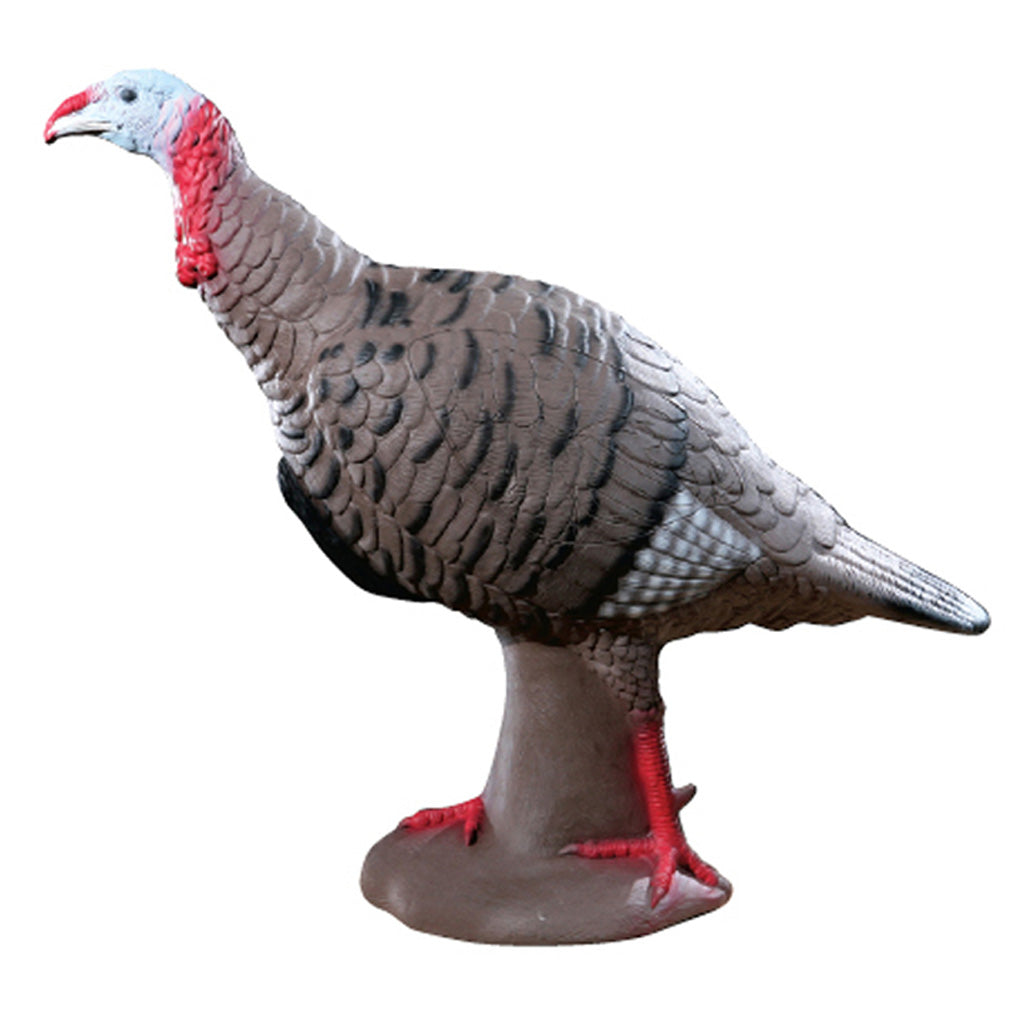 Rinehart Rinehart Tom Turkey Target - Outdoor Gear - DropShot Archery