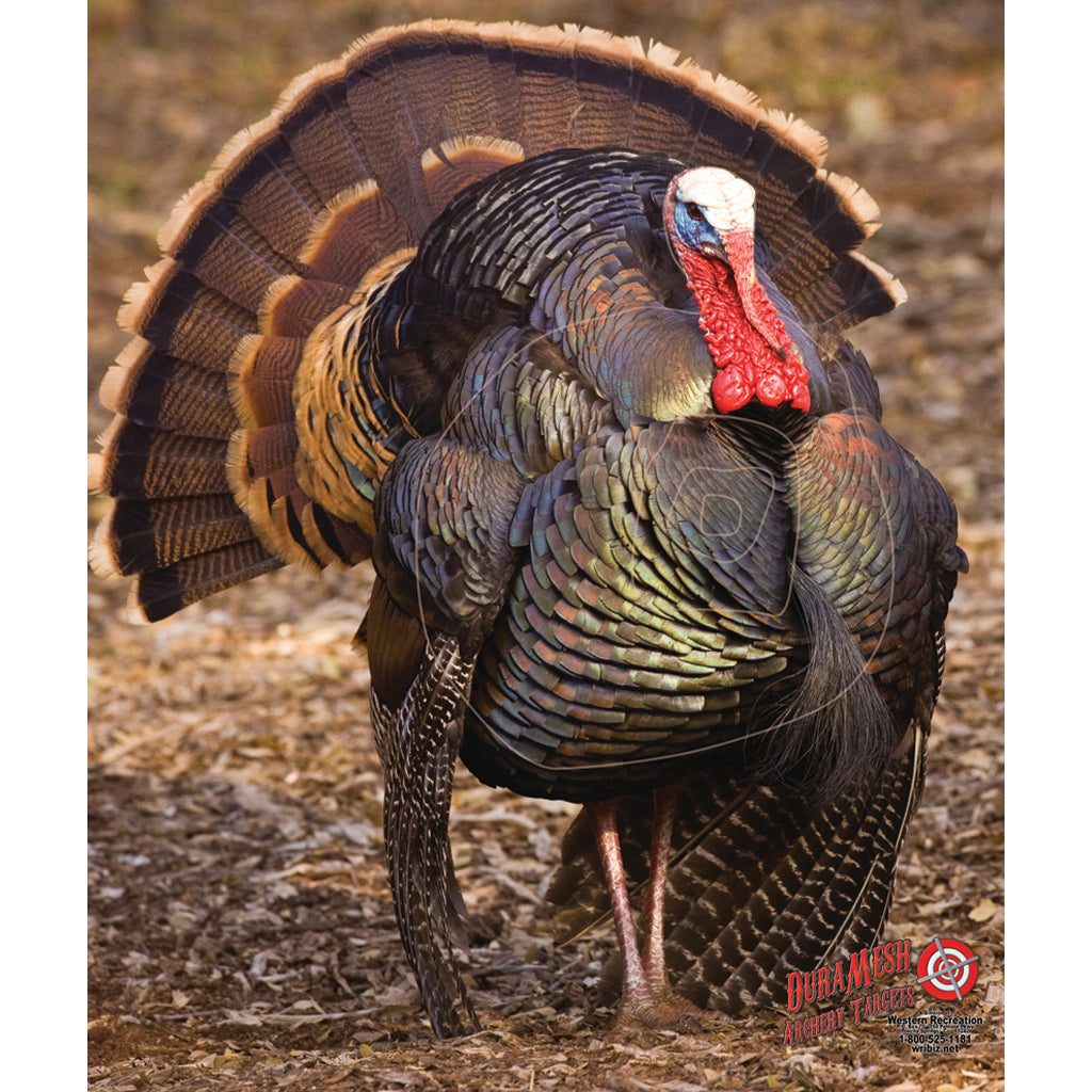Duramesh Duramesh Archery Target Turkey 3 32 In. X 25 In. - Archery - DropShot Archery