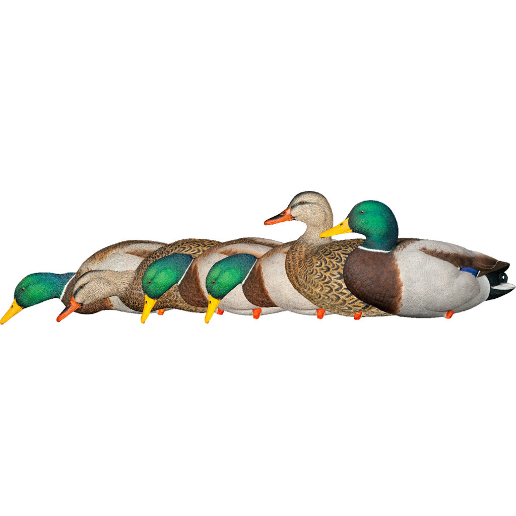 Avian-X Avianx Axp Fusion Duck Decoys Mallards 6 pk. - Decoys - DropShot Archery