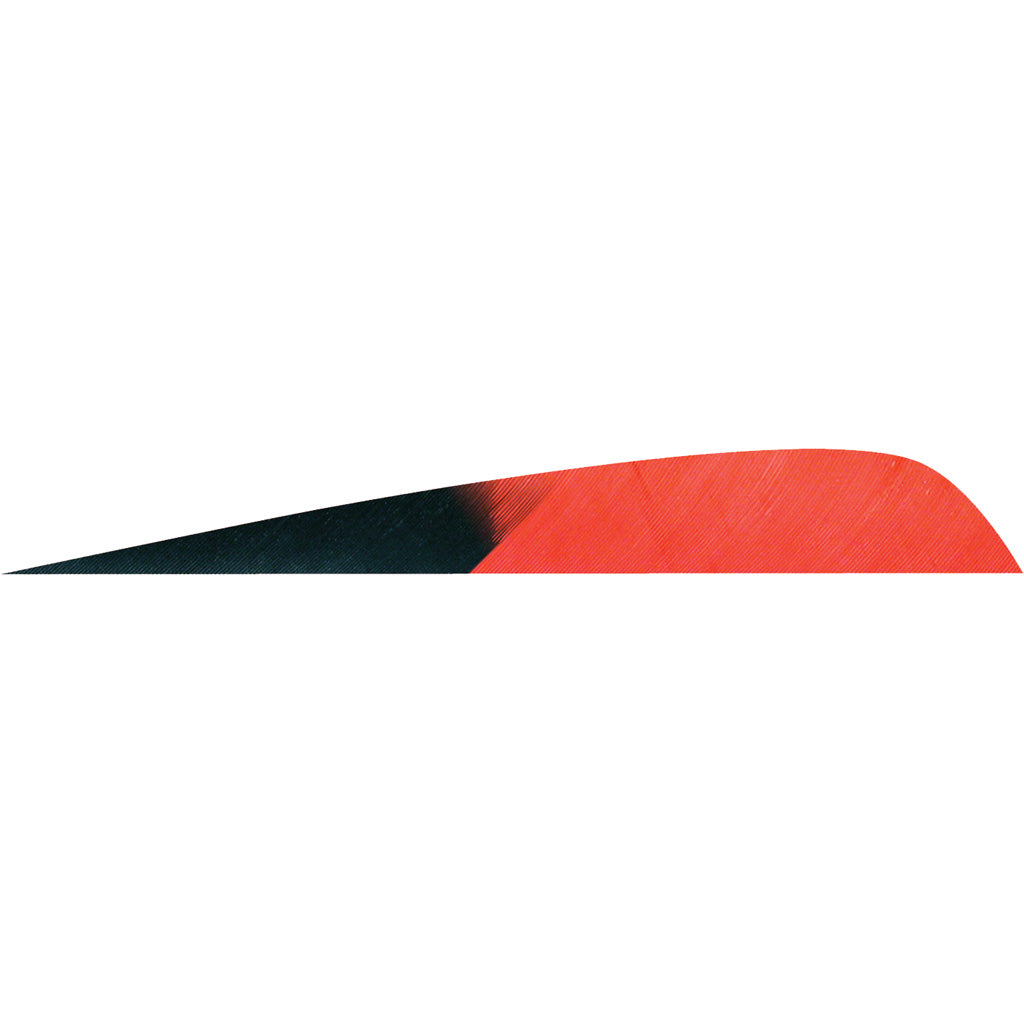 Gateway Gateway Parabolic Feathers Kuru Red 4 In. Rw 50 pk. - Outdoor Gear - DropShot Archery