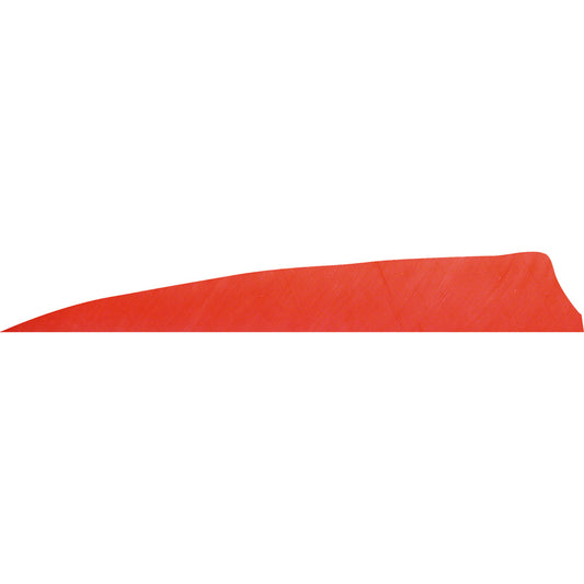 Gateway Gateway Shield Cut Feathers Red 4 In. Lw 50 pk. - Outdoor Gear - DropShot Archery