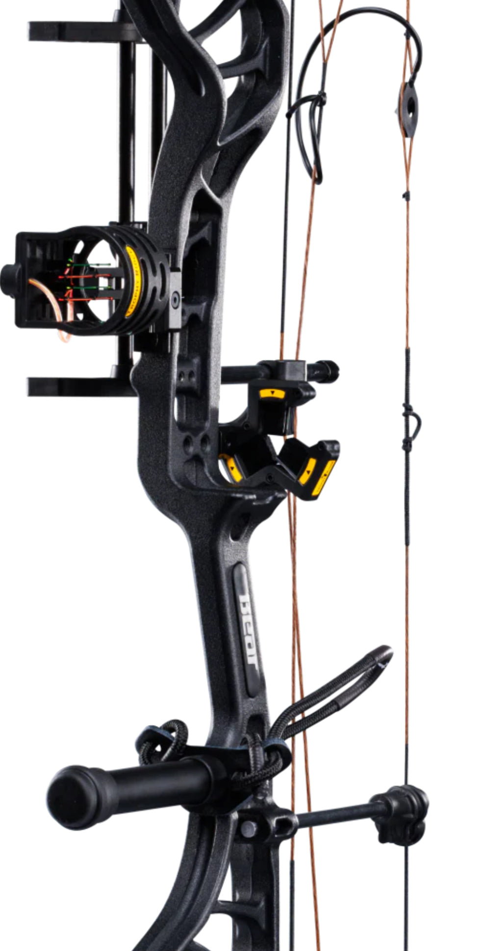 Bear Species XT RTH - Dropshot Archery