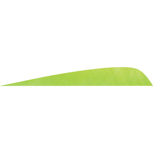 Gateway Gateway Parabolic Feathers Chartreuse 4 In. Lw 50 pk. - Outdoor Gear - DropShot Archery