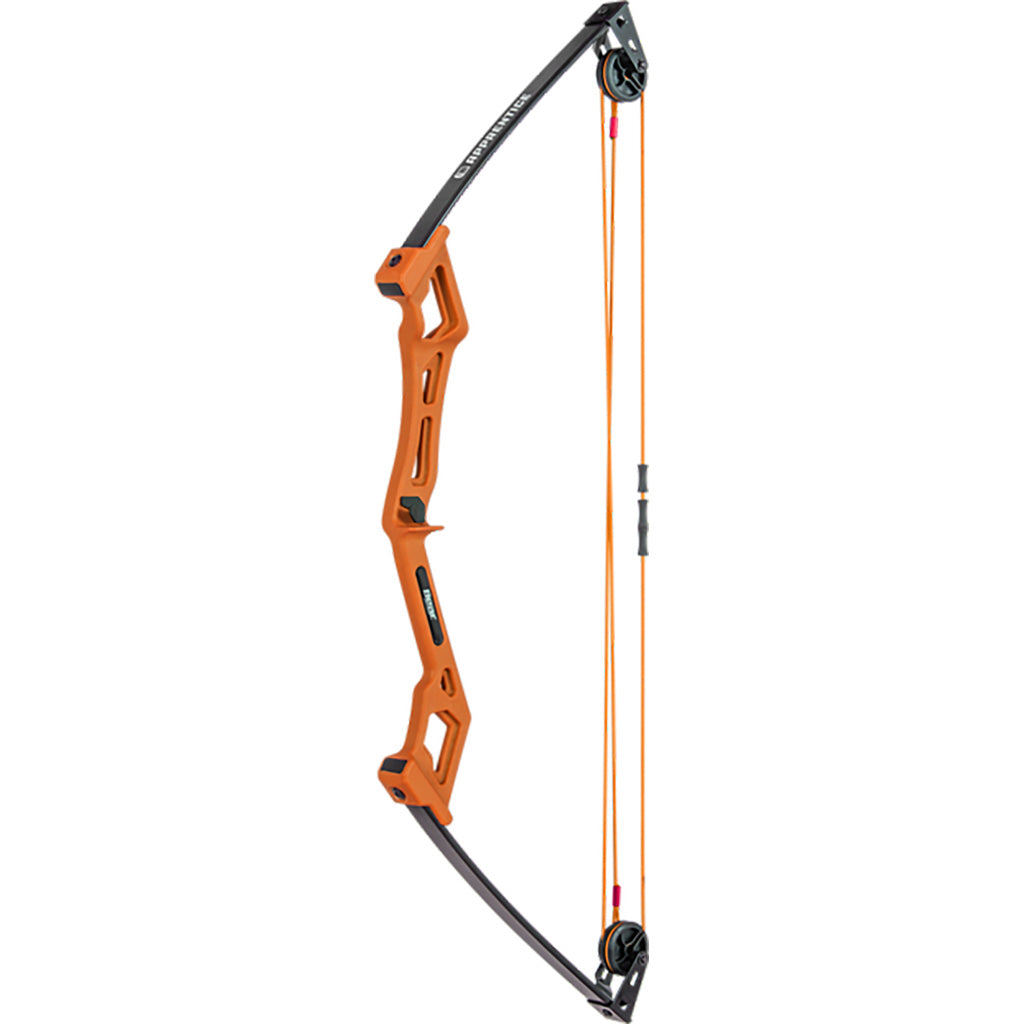 Bear Bear Apprentice Bow Set - Archery & Outdoor Gear - DropShot Archery