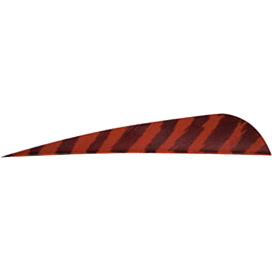 Gateway Gateway Barred Feathers Red 4 In. Rw 50 pk. - Outdoor Gear - DropShot Archery