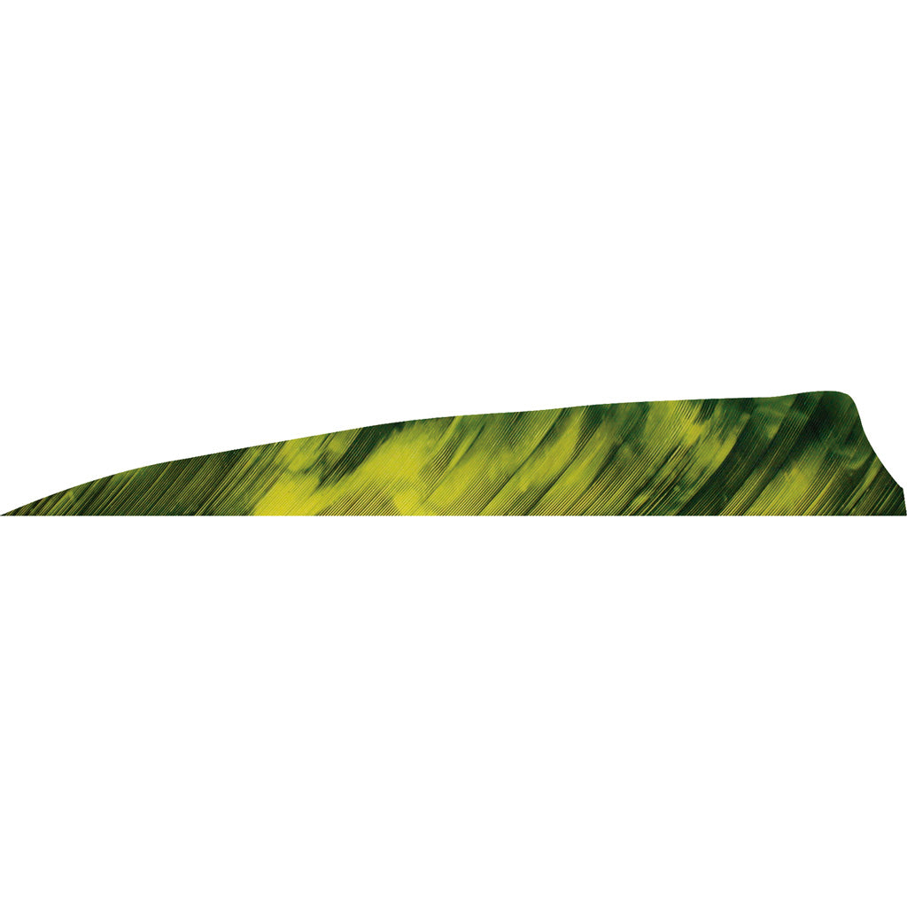 Gateway Gateway Shield Cut Feathers Tre Yellow 4 In. Rw 50 pk. - Outdoor Gear - DropShot Archery