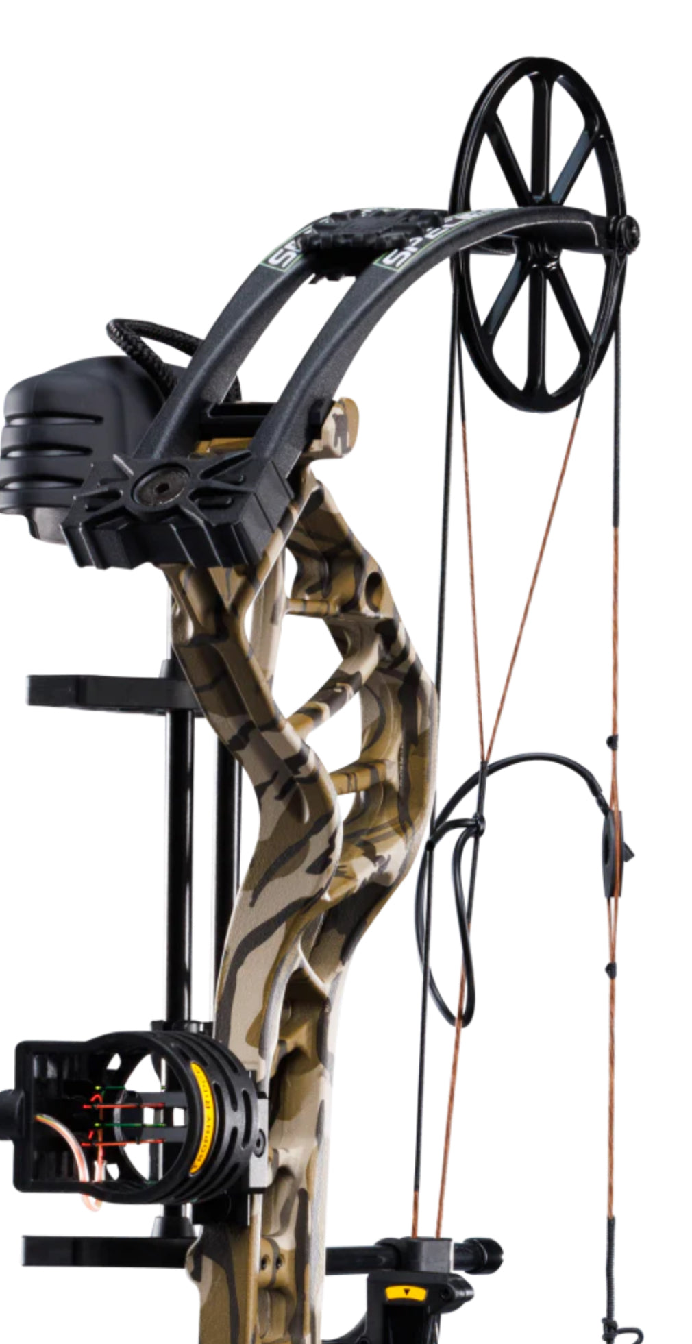 Bear Species XT RTH - Dropshot Archery