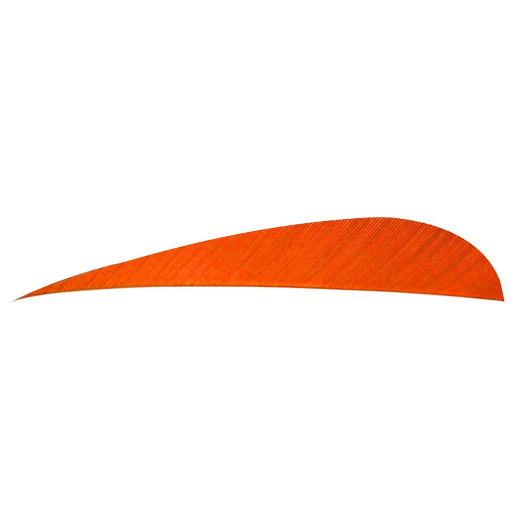 Trueflight Trueflight Parabolic Feathers Orange 4 In. Lw 100 pk. - Outdoor Gear - DropShot Archery