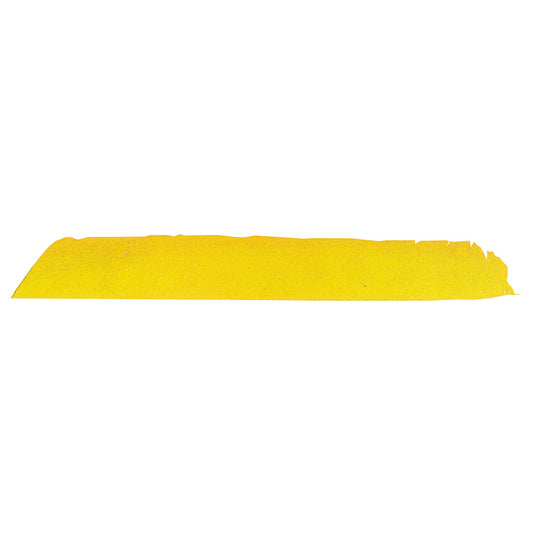 Trueflight Trueflight Full Length Feathers Yellow Rw 100 pk. - Outdoor Gear - DropShot Archery