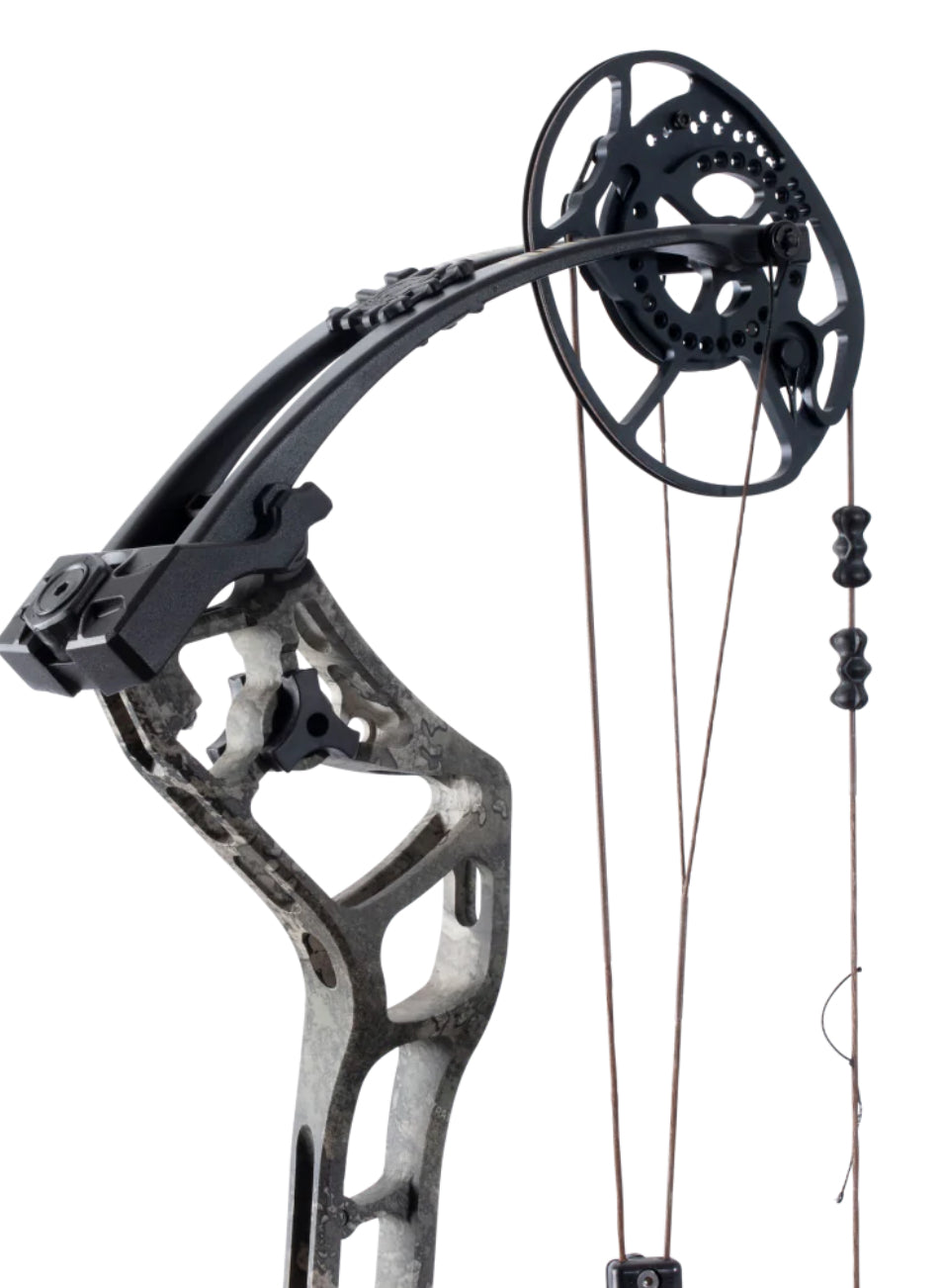 Bear Surpass - Dropshot Archery