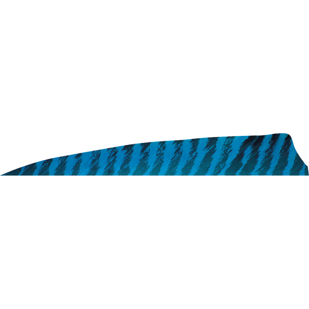 Gateway Gateway Shield Cut Feathers Barred Blue 4 In. Lw 50 pk. - Outdoor Gear - DropShot Archery