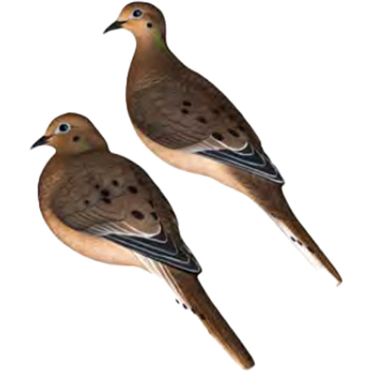 Avian-X Avianx Axp Full Body Dove Decoys 6 pk. - Decoys - DropShot Archery
