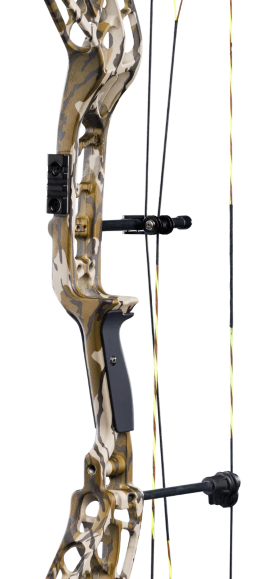 Bear Adapt 2 - Dropshot Archery