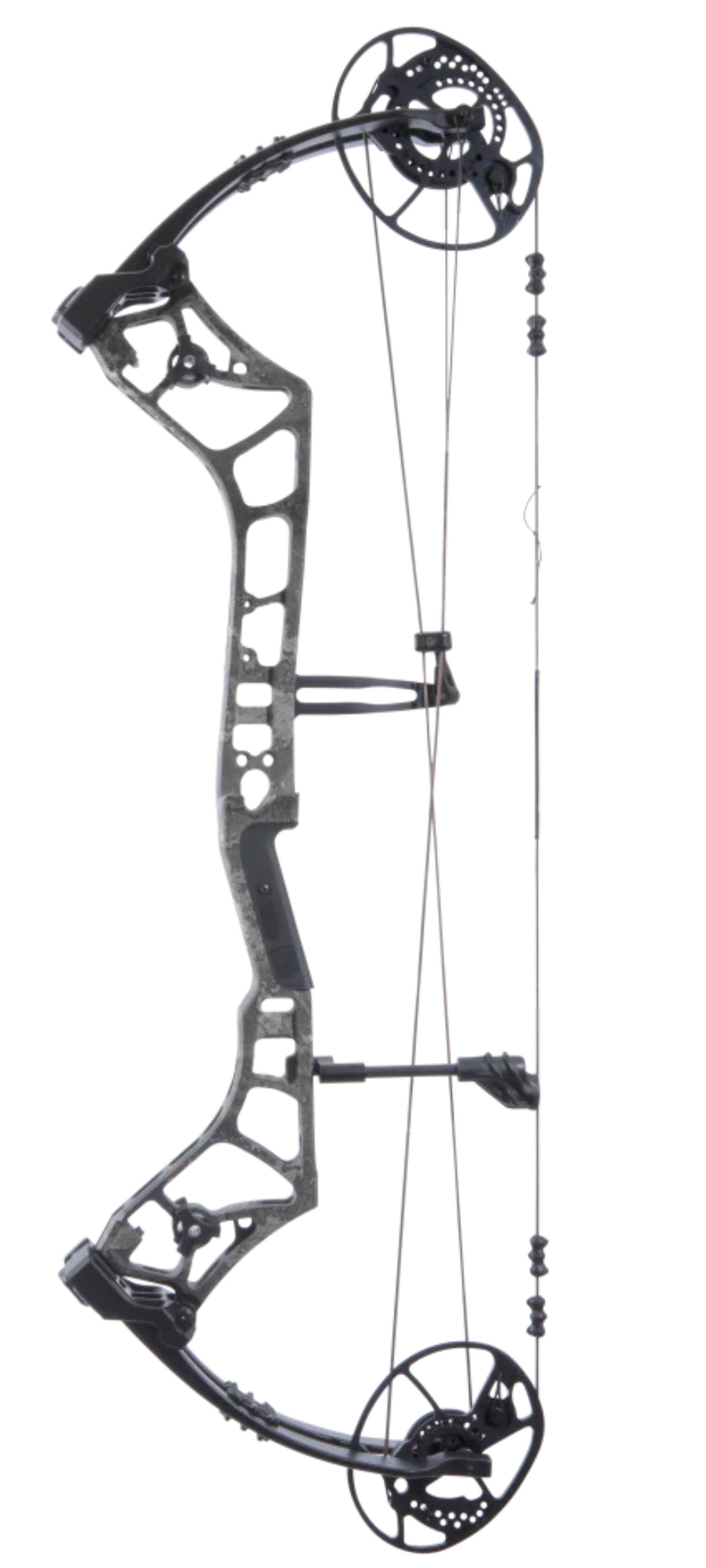 Bear Surpass - Dropshot Archery