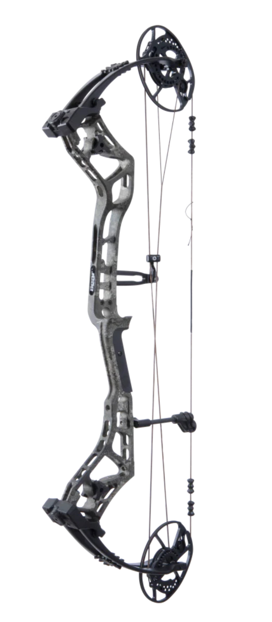 Bear Surpass - Dropshot Archery