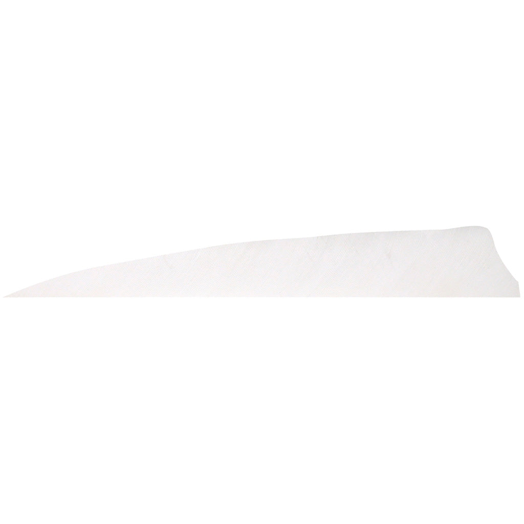 Gateway Gateway Shield Cut Feathers White 4 In. Rw 100 pk. - Outdoor Gear - DropShot Archery