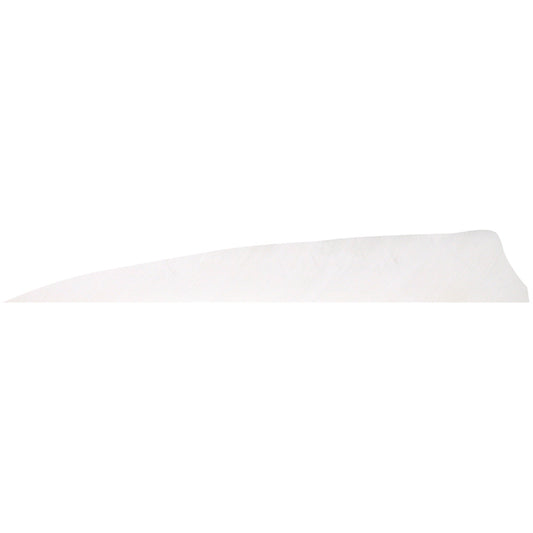 Gateway Gateway Shield Cut Feathers White 4 In. Rw 100 pk. - Outdoor Gear - DropShot Archery