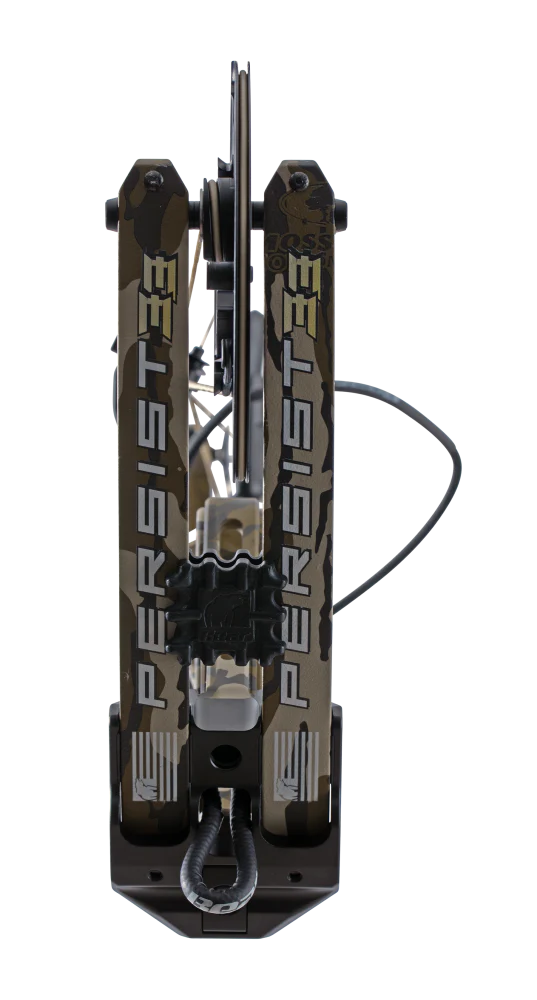 Bear Archery Persist 33 - Dropshot Archery