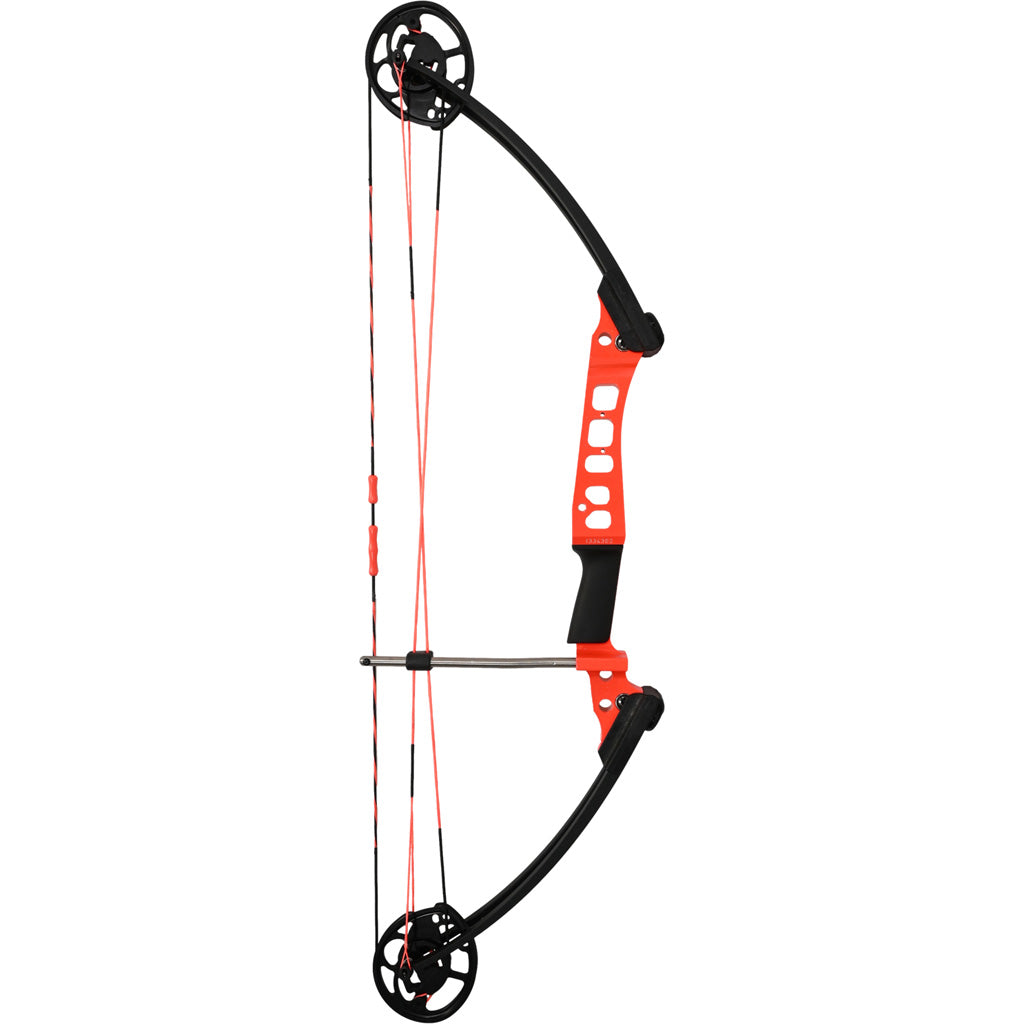 AMS Ams Hooligan V2 Bowfishing Bow RH 24-50 Lb. - Archery & Outdoor Gear - DropShot Archery